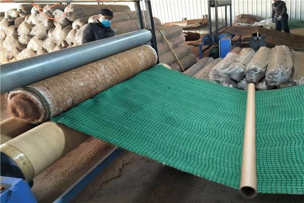 影響環保生態毯力學性能的主要因素是？